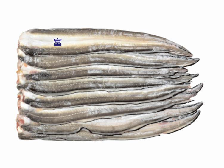 韓國生鮮-穴子(海鰻)