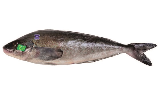 生鮮生食-銀鱈