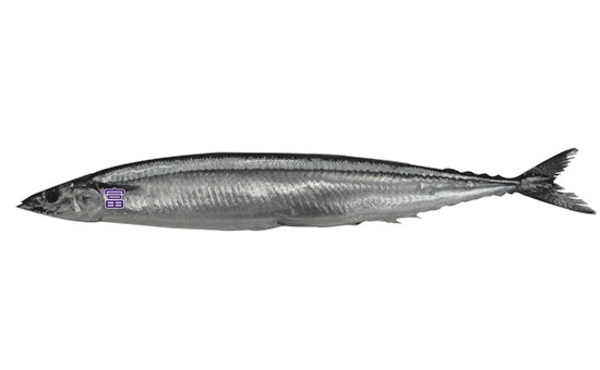 生鮮北海道秋刀魚