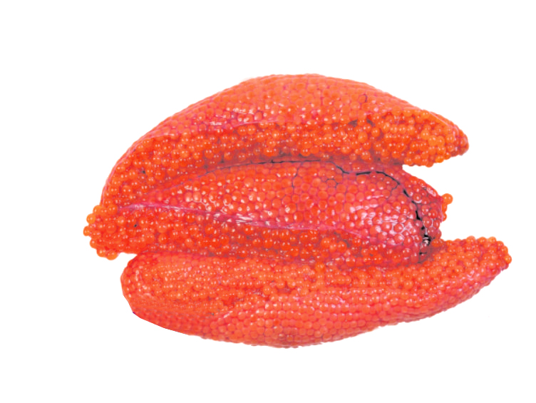 生鮮-鮭魚子